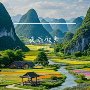 夜雨微光
