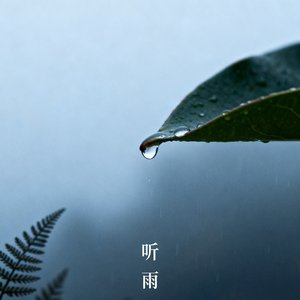 青石巷的秋雨.wav
