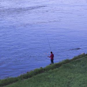 画中游（cover）