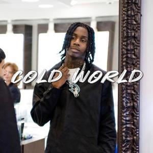 Cold World (Polo G type beat)