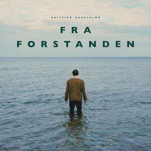 Fra forstanden