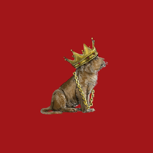 Presentation Friendly (She Ready for a PowerPoint Version)