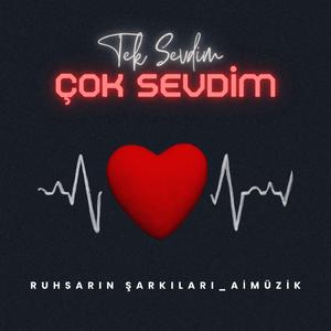 Tek Sevdim Çok Sevdim