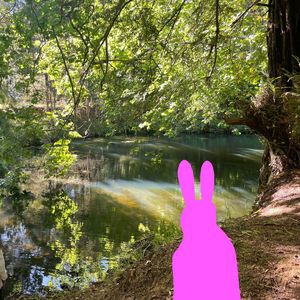 兔子的森林 - 30:01:2026 下午4.14