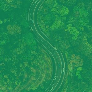 一尘不染睡觉印象数