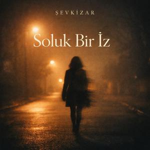 Soluk Bir İz