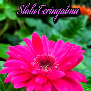 Slalu Teringatmu