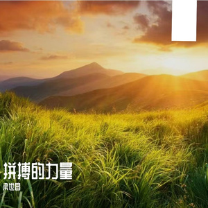 一路披荆向前