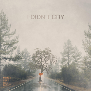 I Didn't Cry