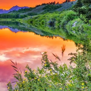 《伤感夜的寂静回响》