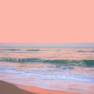 世界上的另一个我