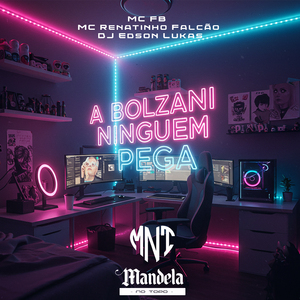 A Bolzani Ninguem Pega Slowed + Reverb