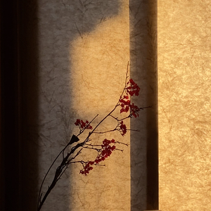 虞美人（片段）