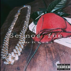 Se nos fue Remix (feat. m.o.o.n)