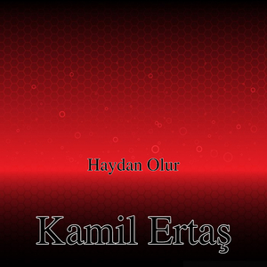 Haydan Olur