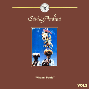 Seleccion Sud Americana: El Choclo / Brasilerinho / Navidad Negra / Pastorcita / Yo Vendo Unos Ojos Negros / Ñuca Llacta / Pájaro Campana / La Flor De La Canela / Candombe Para Jose / Alma Llanera