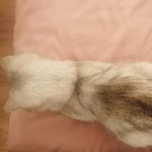 当我发现你已走远（demo马马虎虎）