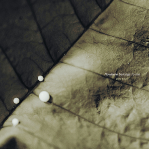 Nowhere belongs to me