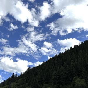 爱慕之心〔COVER〕