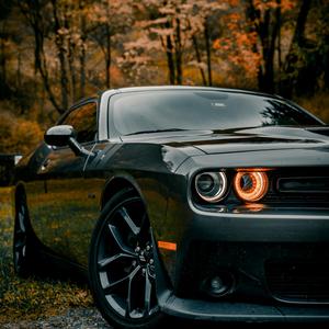 All I Want For Christmas