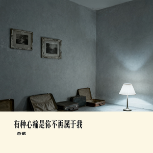 有种心痛是你不再属于我