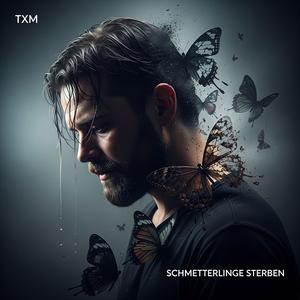 Schmetterlinge Sterben