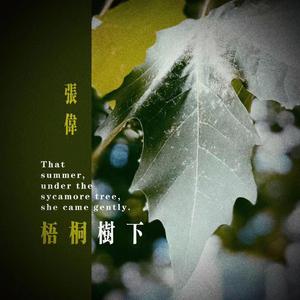 梧桐树下
