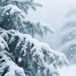 雪花那个飘心儿那个凉