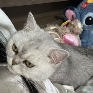这样的你