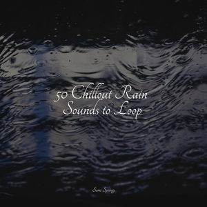 Forest, Night, Frogs