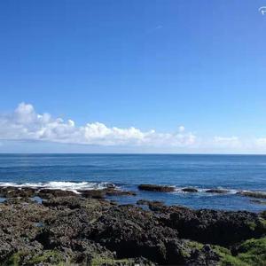 Insde-夏欢（山奈 remix）