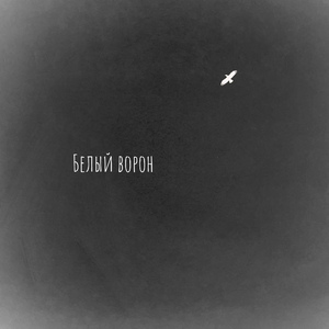 Проводи