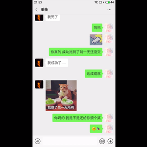 鸽子（翻自 洛天依）