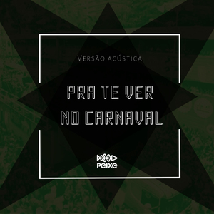 Pra Te Ver no Carnaval (Acústico)