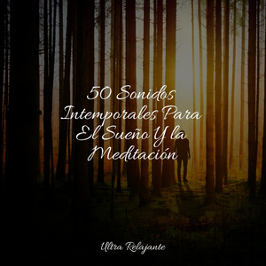 Misterio Al Descubierto