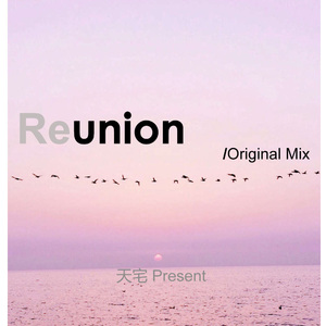 Reunion (Original Mix)