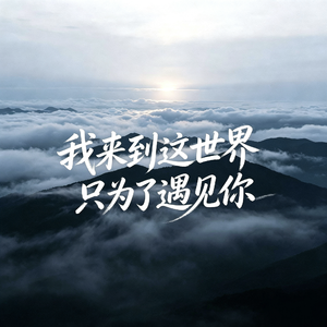 我来到这世界只为了遇见你