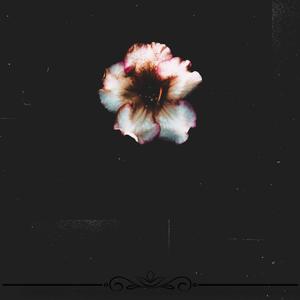 Liselim FREESTYLE (feat. Veba)