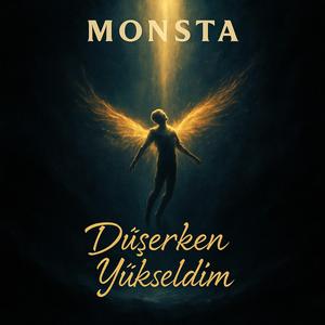 Düşerken Yükseldim