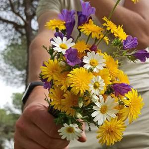 Для чого вона дивиться моЇ сторіс