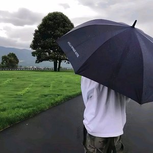 写给风中的信