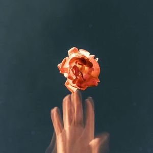 相守(prod by flowerless)