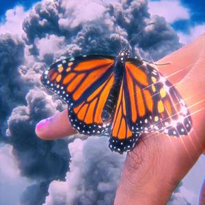 Collider (feat. Defcon Lawless)