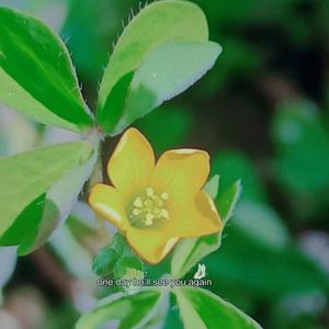 在我黑暗的世界照亮我的一束光