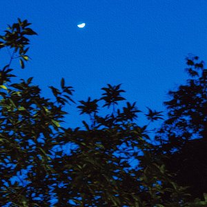 理由(翻唱)完整版.