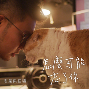 怎么可能忘了你