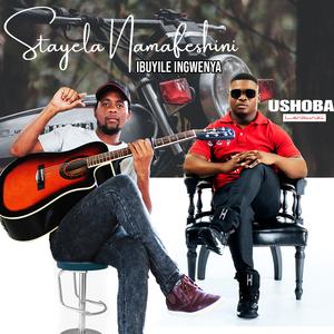 Ibuyile Ingwenya (feat. Ushoba Lenkunzi)