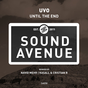 Until the End (Navid Mehr Remix)