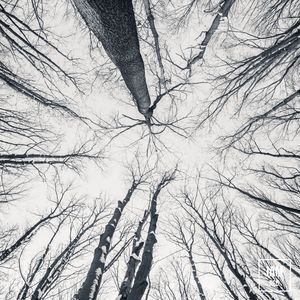 Gentle Nice Jazzy Tune