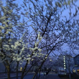 一定要每天开心